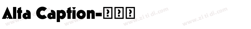 Alta Caption字体转换